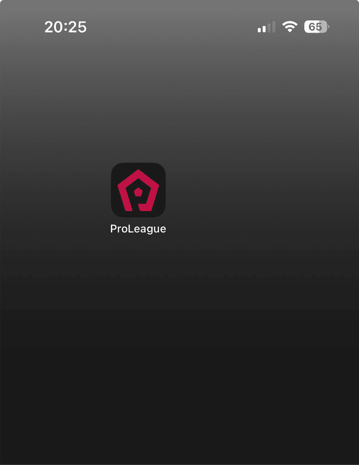 howtopwa-app4.png